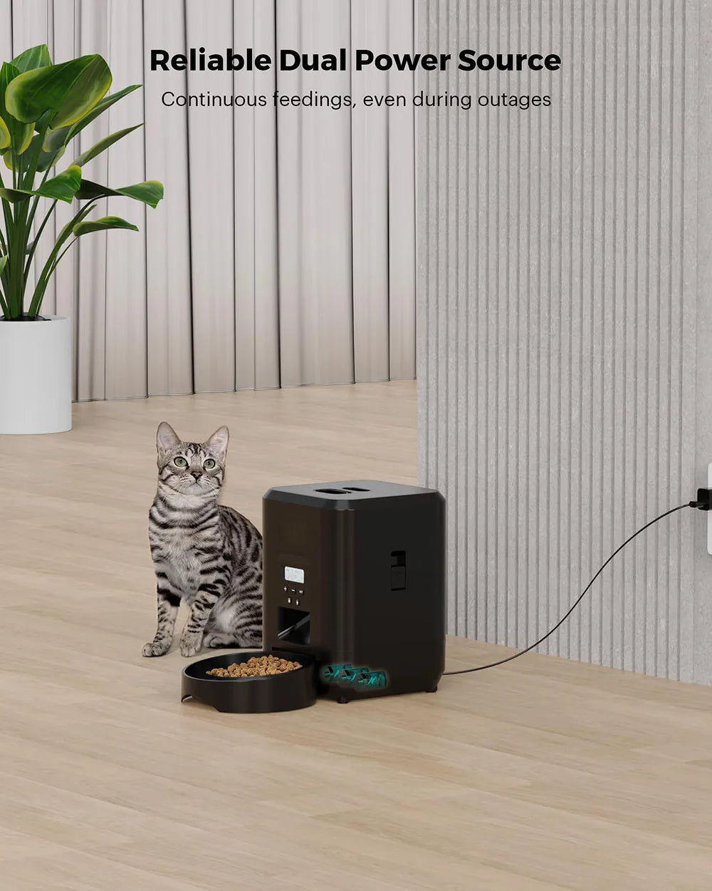 Distributeur automatique de nourriture pour chat et chien