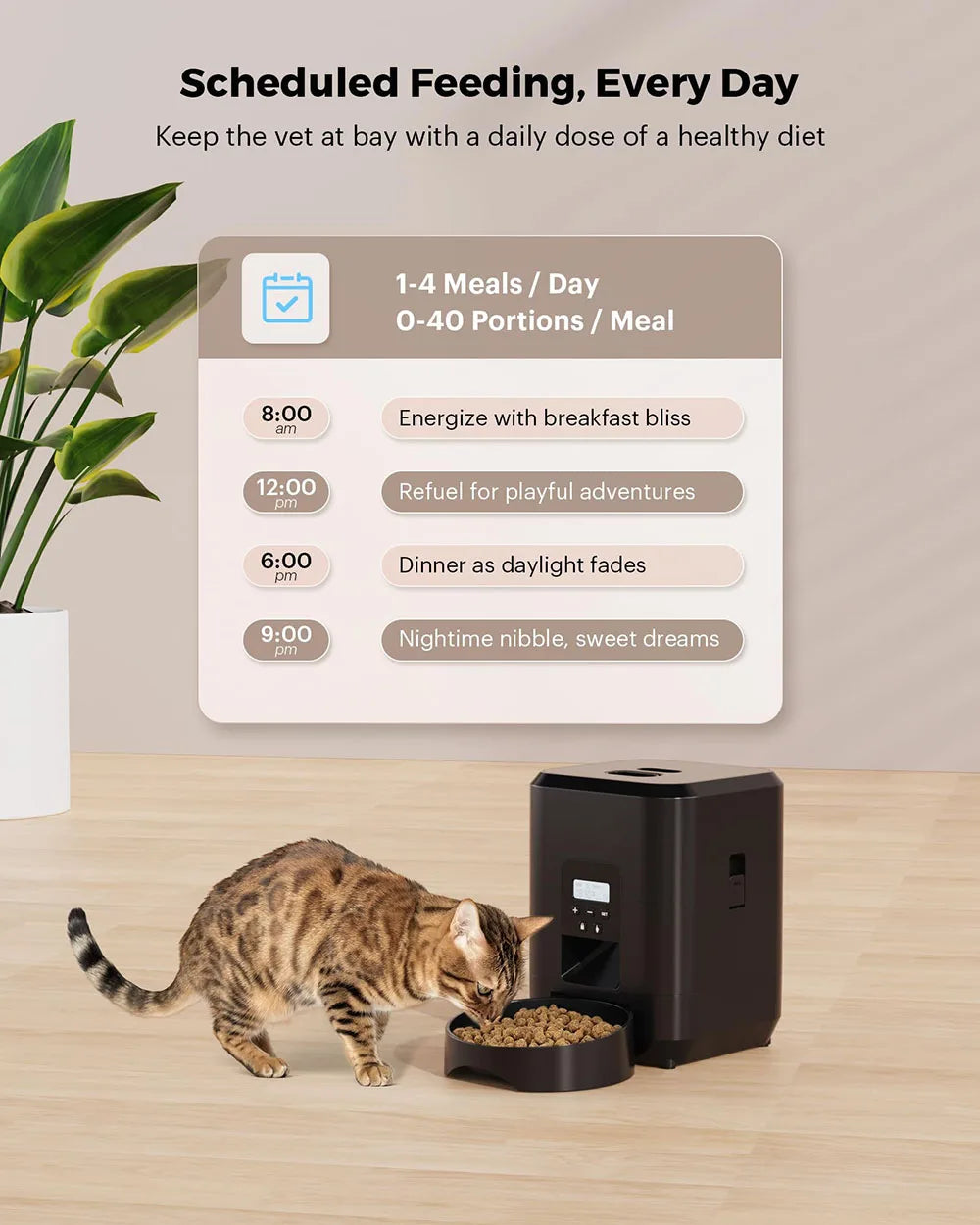 Distributeur automatique de nourriture pour chat et chien