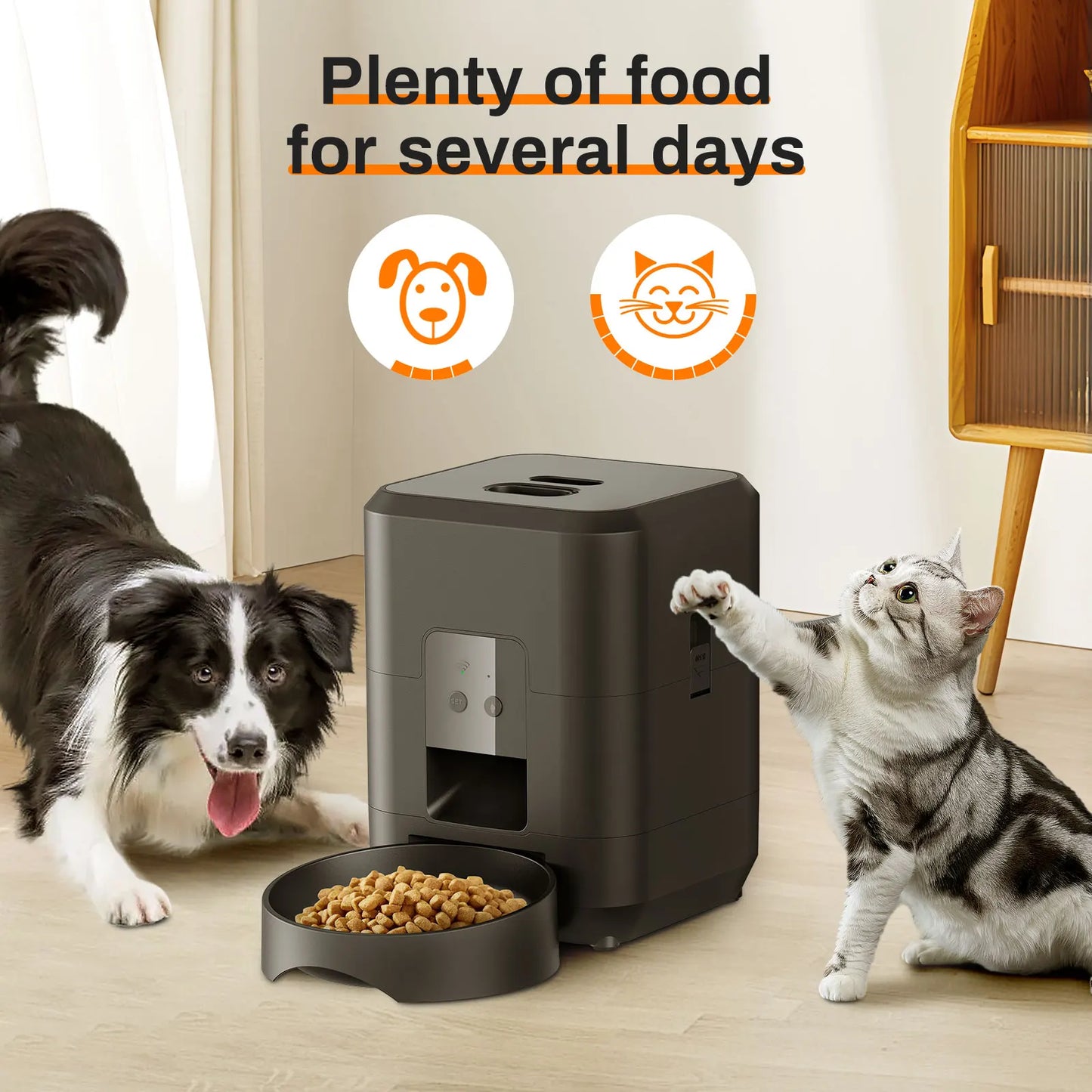 Distributeur automatique de nourriture pour chat et chien