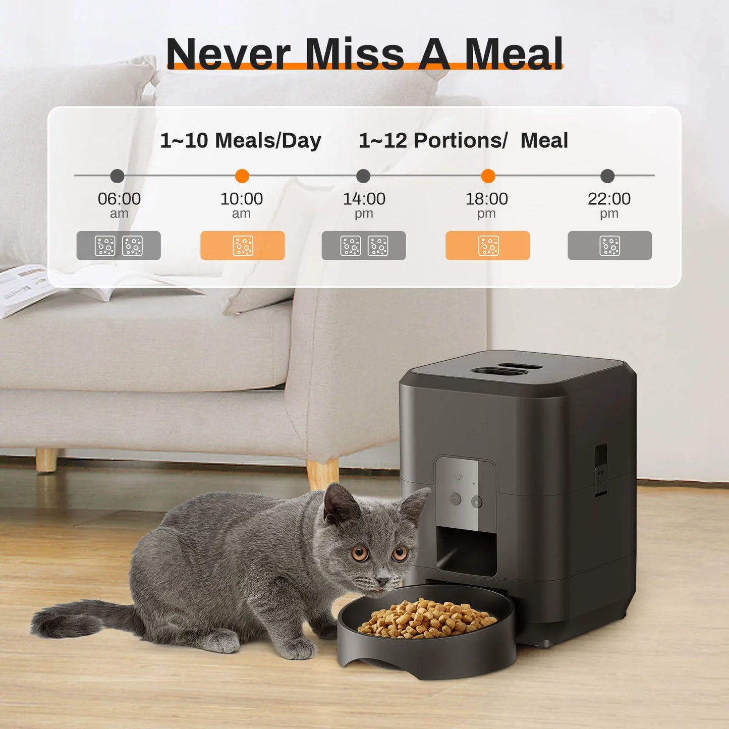 Distributeur automatique de nourriture pour chat et chien