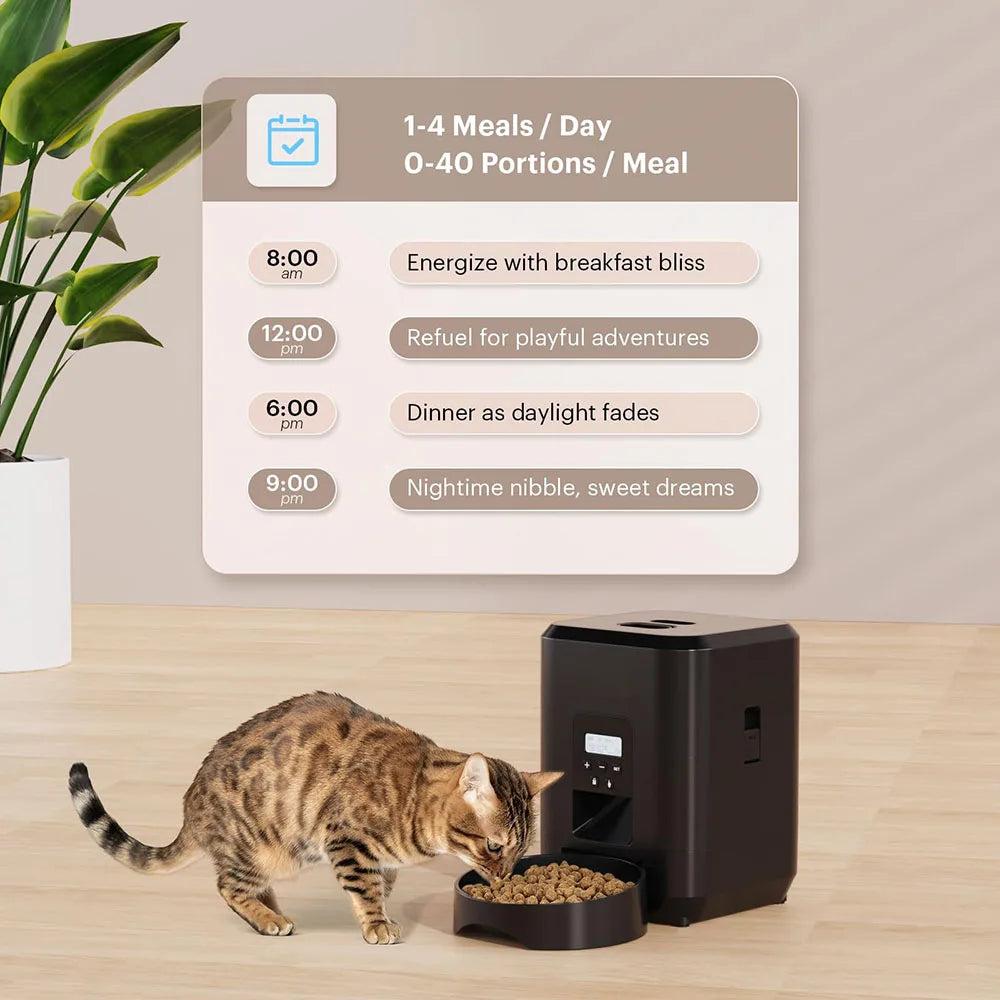 Distributeur automatique de nourriture pour chat et chien