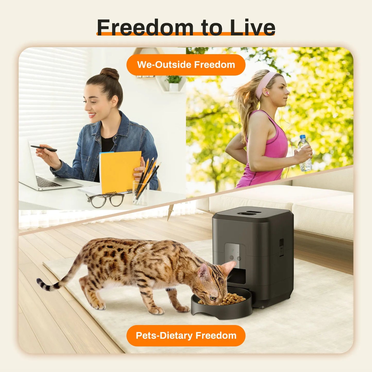 Distributeur automatique de nourriture pour chat et chien